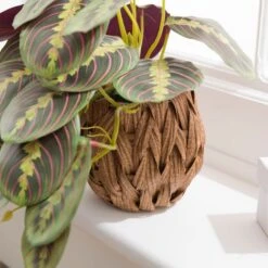 Artificial Prayer Plant In Woven Plant Pot -Home Decor Shop 30923346 alt02