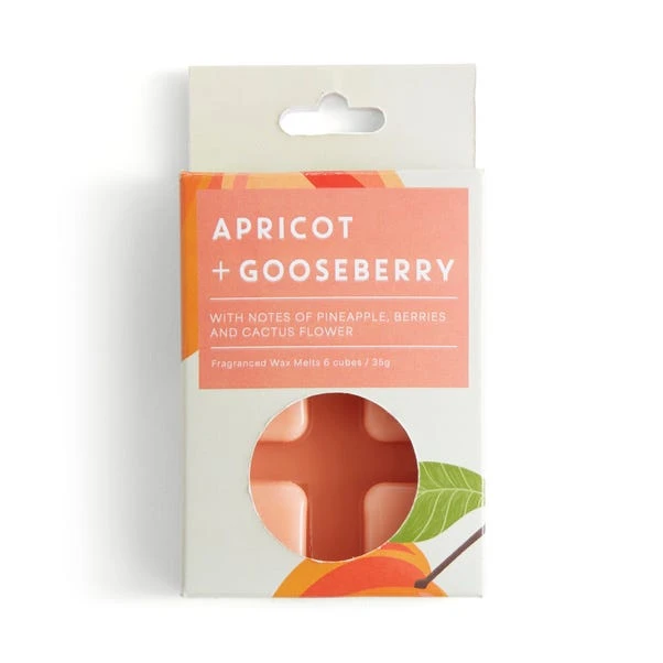Set Of 6 Apricot & Gooseberry Wax Melts 3 Set Of 6 Apricot & Gooseberry Wax Melts - Image 3