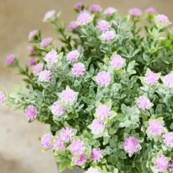 Artificial Flowers In Grey Plant Pot -Home Decor Shop 30925733 alt01