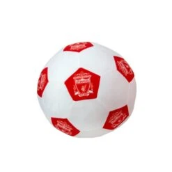 Liverpool Football Club 3D Cushion -Home Decor Shop 30931073 alt03