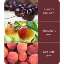 Heart And Home Ellipse Sweet Black Cherries Multi Wick Candle -Home Decor Shop 30933012 alt03