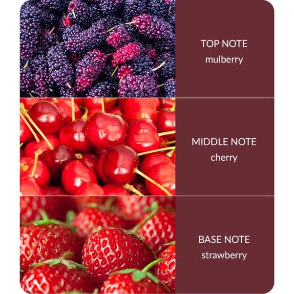 Heart And Home Ellipse Simply Mulberry Multi Wick Candle 4 Heart And Home Ellipse Simply Mulberry Multi Wick Candle - Image 4