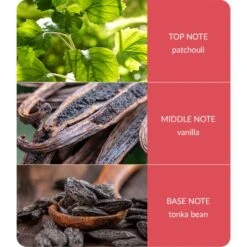 Heart And Home Ellipse True Enchantment Multi Wick Candle 7 Heart And Home Ellipse True Enchantment Multi Wick Candle -Home Decor Shop 30933015 alt03