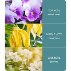 Heart And Home Ellipse Simply Spa Multi Wick Candle -Home Decor Shop 30933016 alt03