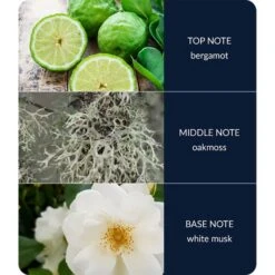 Heart And Home Ellipse River Rock Multi Wick Candle 7 Heart And Home Ellipse River Rock Multi Wick Candle -Home Decor Shop 30933019 alt03