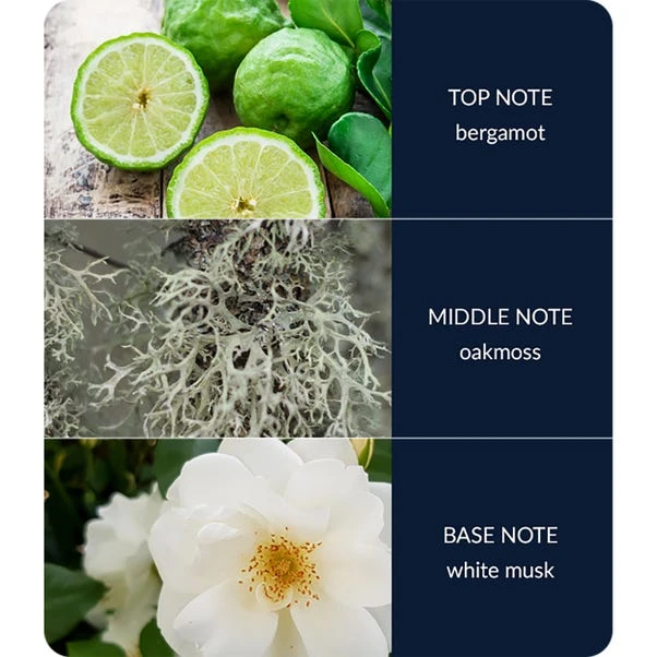 Heart And Home Ellipse River Rock Multi Wick Candle 4 Heart And Home Ellipse River Rock Multi Wick Candle - Image 4