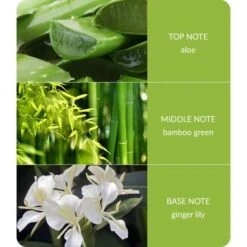 Heart And Home Bamboo & Ginger Lily Jar Candle 7 Heart And Home Bamboo & Ginger Lily Jar Candle -Home Decor Shop 30933031 alt03