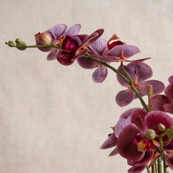 Artificial Real Touch Dark Pink Phalaenopsis Orchid In Ceramic Plant Pot 2 Artificial Real Touch Dark Pink Phalaenopsis Orchid In Ceramic Plant Pot - Image 2