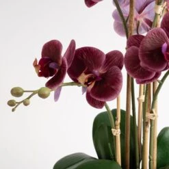 Artificial Real Touch Dark Pink Phalaenopsis Orchid In Ceramic Plant Pot 7 Artificial Real Touch Dark Pink Phalaenopsis Orchid In Ceramic Plant Pot -Home Decor Shop 30958135 alt02