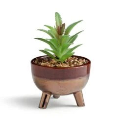 Artificial Succulents In Brown Glazed Footed Plant Pot -Home Decor Shop 30958613 alt02