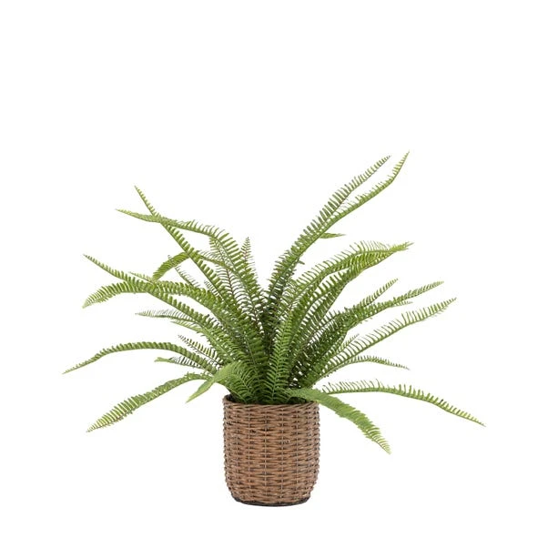 Artificial Fern In Wicker Plant Pot 3 Artificial Fern In Wicker Plant Pot - Image 3