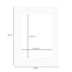 Nielsen Conservation White Picture Mount -Home Decor Shop 30959535 alt01