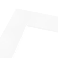 Nielsen Conservation White Picture Mount -Home Decor Shop 30959535 alt02