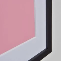 Nielsen Conservation White Picture Mount -Home Decor Shop 30959537 alt03