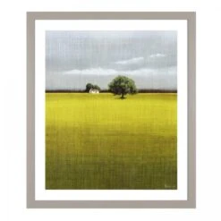 Morning Warmth Framed Print