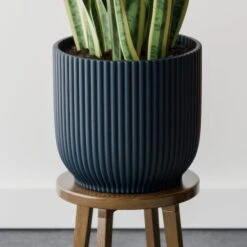 Snake House Plant In Elho Pot -Home Decor Shop 30963561 alt02