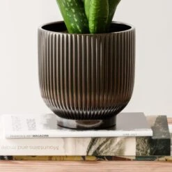 Aloe Vera House Plant In Ribbed Ceramic Pot 22 Aloe Vera House Plant In Ribbed Ceramic Pot -Home Decor Shop 30963677 alt02