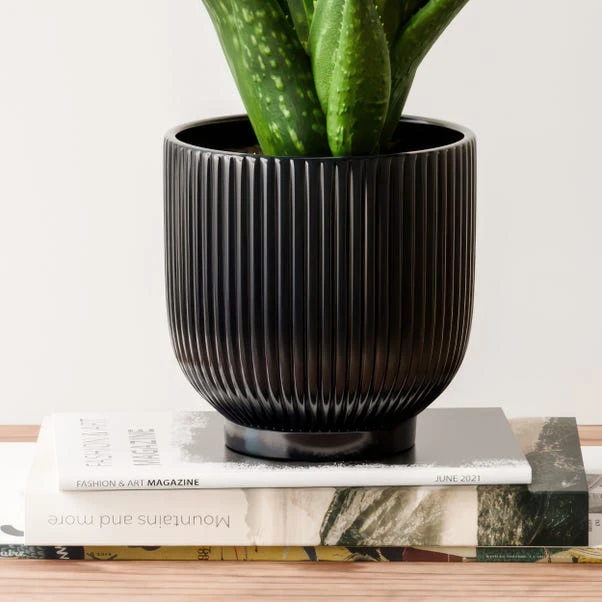 Aloe Vera House Plant In Ribbed Ceramic Pot 3 Aloe Vera House Plant In Ribbed Ceramic Pot - Image 3