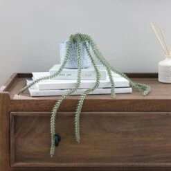 Artificial Trailing Sedum Burros Tail In Speckled Ceramic Plant Pot