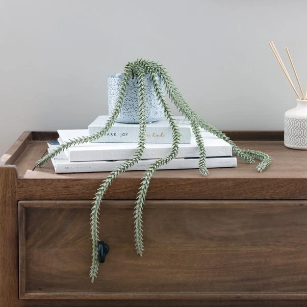 Artificial Trailing Sedum Burros Tail In Speckled Ceramic Plant Pot 1 Artificial Trailing Sedum Burros Tail In Speckled Ceramic Plant Pot