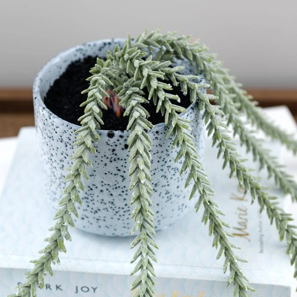 Artificial Trailing Sedum Burros Tail In Speckled Ceramic Plant Pot 4 Artificial Trailing Sedum Burros Tail In Speckled Ceramic Plant Pot - Image 4