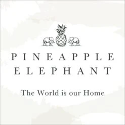 Pineapple Elephant Florin Square Cushion -Home Decor Shop 30969787 alt09