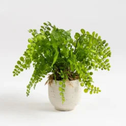 Artificial Fern In Speckled Ceramic Plant Pot -Home Decor Shop 30975090 alt02