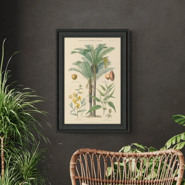 Fruit Trees II Framed Print 1 Fruit Trees II Framed Print