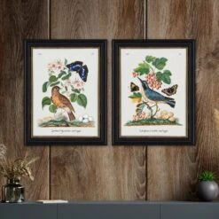 Set Of 2 Vintage French Birds Framed Prints