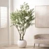 Artificial Extra Large Olive Tree In Rounded White Plant Pot