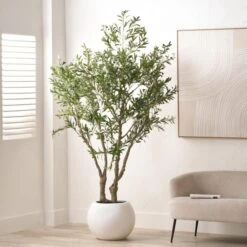 Artificial Extra Large Olive Tree In Rounded White Plant Pot