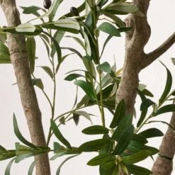 Artificial Extra Large Olive Tree In Rounded White Plant Pot -Home Decor Shop 30983173 alt02